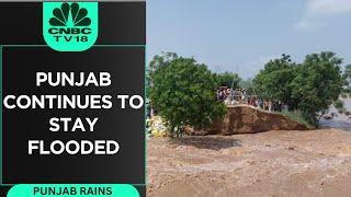 Punjab Flood News: Heavy Rains Lash Punjab & Haryana, Several Areas Remain Inundated | WATCH