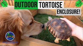 New & Huge Outdoor Tortoise Enclosure!