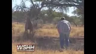 Man Wrestles With A Wild Kudu