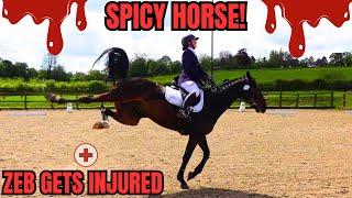 SPICY AND INJURED HORSES! | LESS THAN IDEAL COMPETITION AT SPARSHOLT || VLOG 145