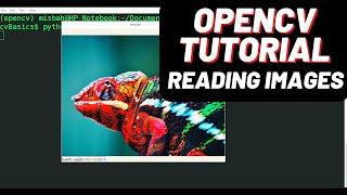 OpenCV Tutorial Part-1 : Reading Images using Python - with code