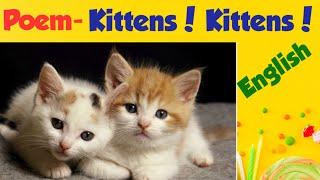 kittens kittens everywhere|Poem- Kittens! Kittens!| kittens kittens poem| English poem
