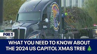 US Capitol Christmas Tree arrives in DC