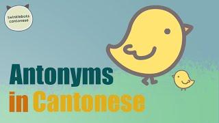 Learn Chinese: Opposites – Antonyms in Cantonese 相反 - 粵語