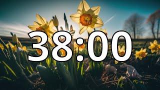 38 Minutes Timer with Music | Spring Timer