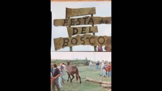 Foto F.F. Casale Bottone La festa del Bosco anni 90