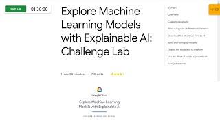 Explore Machine Learning Models with Explainable AI: Challenge Lab (2022 Update)
