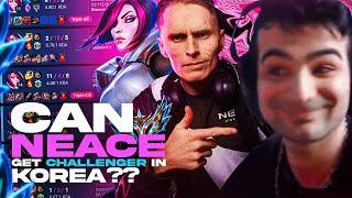 Can NEACE get KOREAN CHALLENGER??? *THE $350 COACH*