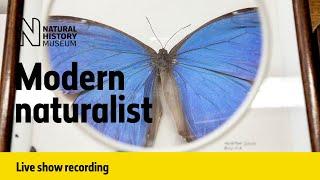 Modern naturalist | Live talk with NHM scientist