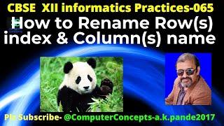 HOW TO RENAME THE COLUMNS IN PANDAS DATAFRAME | RENAME ROW NAMES PANDAS | CHANGE COLUMN LABEL PANDAS