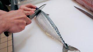 GRAPHIC - How to fillet a fish - Mackerel - Japanese technique - サバのさばき方