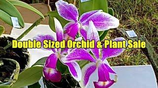 Awesome Orchid & Plant Fair OFE May Day Sale! Double the vendors. Great finds! (Bonus Bloopers!)