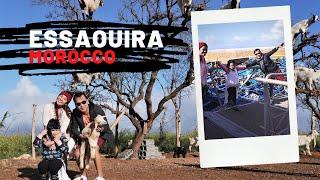 Exploring ESSAOUIRA, Morocco // Goat Tree // Travel Vlog 2020 // #PinoyWanderista #Morocco2020