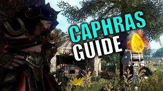 Was sind Caphras Steine ? | Caphra-Guide | Black Desert Online | InstaWolf