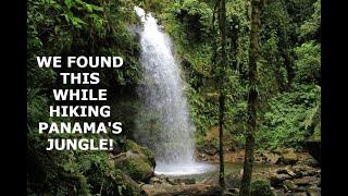 Virtual walk/hike of 3 and a half waterfalls and a beautiful jungle | Boquete, Panama