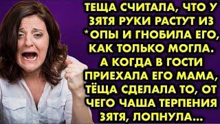 Теща считала что у зятя руки растут из  опы и гнобила его как только могла  А когда в гости прие