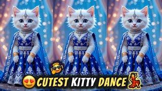 Cat videos funny dance  Videos for cats | बिल्ली डांस | Cat videos 2025 | Dance videos#funny #cat