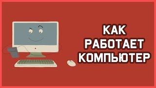 Edu: Как работает компьютер