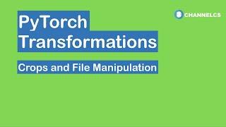 PyTorch Transformations Tutorial | Crops and File Manipulation (2020)