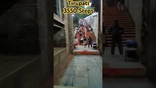 Tirupati Balaji 3550 Steps | Tirupati Balaji Walking Way | Tirupati Balaji Temple | #tirupati #ttd