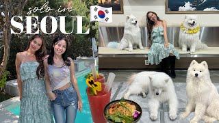 SOLO in SEOUL VLOG  samoyed cafe, fwee pop up in seongsu and lunch at saladaeng embassy