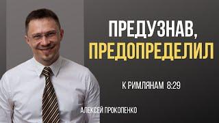 Предопределение | Римлянам 8:29 | Алексей Прокопенко