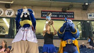 Simba Cam with the mascots! #baseball #trentonthunder #mascots #simbacam