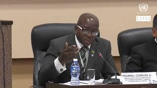 Statement by Pearnel Charles Jr., Ministry of Foreign Affairs and Foreign Trade of Jamaica