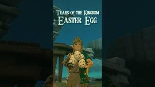 Mario Easter Egg | Legend of Zelda: Tears of the Kingdom #zelda #nintendo #tearsofthekingdom #Shorts