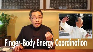 Hai Yang's Practice Proverb Series (34): Finger-Body Energy Coordination in Tai Chi