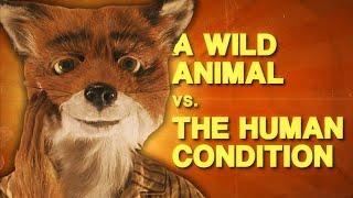Fantastic Mr. Fox Is a Paradox