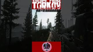 PLEASANTLY SUPRISED BY THIS WEAPON BUILD - ESCAPE FROM TARKOV