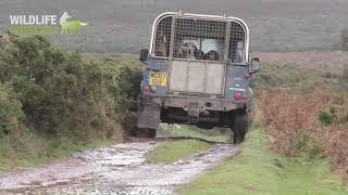 Quantack Staghounds meet on the Porlock Manor Estate