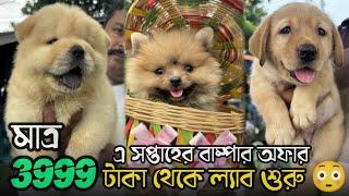 3999 টাকায় ল্যাব | Serampore Pet Market | Recent Dog Puppy Price Update | Serampore Dog Market