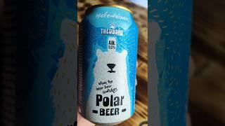 немецкая пшеничка из магазина Магнит пиво Theodore Polar beer Hefeweizen  #пивнойобзор #доброслав13