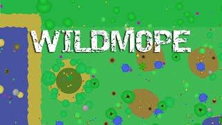 WILDMOPE - LETS PLAY