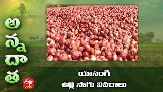 యాసంగి ఉల్లి సాగు వివరాలు | Rabi Onion Package of Practices | ETV