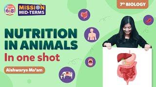 Nutrition in Animals Class 7 Science in One shot (Chapter 2) | BYJU'S - Class 7
