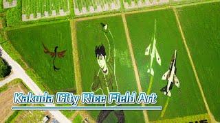 Miyagi Prefecture Kakuda City Rice Field Art | 角田市田んぼアート