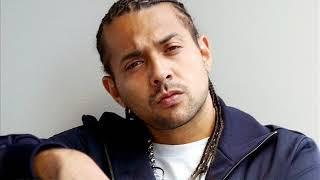 Sean Paul - Pick It Up And Drop It (Subtitulada en Español)