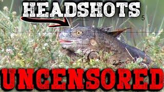 UNCENS0RED Headshots | Iguana Pest Control