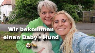 Wir holen uns einen neuen BABYHUND - ÜBERRASCHUNG - WIR FAHREN IN DEN NORDEN - andreaabaam