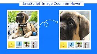 Image Magnifier JavaScript | Image Zoom on Hover using JavaScript | Image Hover Effect
