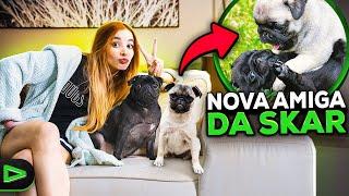 A NOVA AMIGA DA SKAR CHEGOU NA MANSÃO LOUD!!