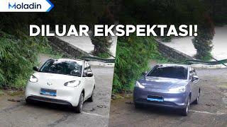 Sebelum Beli Mobil Listrik Di Bawah 400 Juta, Tonton Dulu Video ini | Moladin