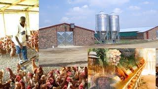 How I Built Poultry House for 1000 birds -How to start poultry farm step by step: the structures