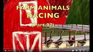 FARM ANIMALS on the FARM / RACING (Part 97)  PIGS,  DUCKS,  GOATS  & GEESE RACES /EDUCATIONAL KIDS