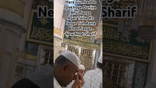 Hara Gumbad Jo Dekhoge Duniya Bhul Jaoge || Agar Taiba Ko Jaoge || Naat Sharif #shorts #viralvideo