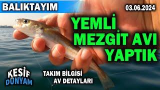 Yemli Mezgit Avı Yaptık | Haziran 2024 | İstanbul Güncel Balık Avı | Mezgit Takımı | BALIKTAYIM