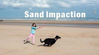 Sand Impaction -- Playing ball on the beach with your dog can be dangerous